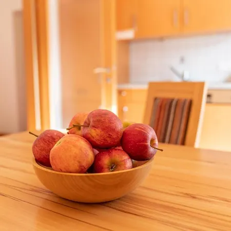 شقة Appartementhaus Steirergasse By Schladming-appartements