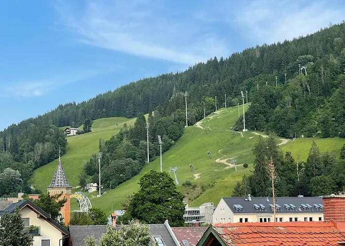 Appartementhaus Steirergasse By Schladming-appartements * シュラートミンク