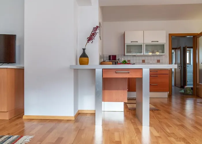 Appartementhaus Steirergasse By Schladming-appartements * シュラートミンク