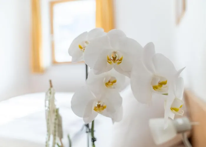 아파트 Appartementhaus Steirergasse By Schladming-appartements