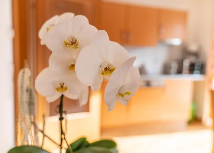 아파트 Appartementhaus Steirergasse By Schladming-appartements